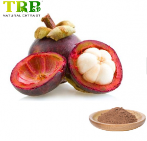 Pulbere suc Mangosteen
