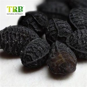 Extracto de semilla negra / extracto de Nigella sativa