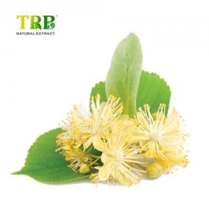 Tilia Cordata Flower Extract