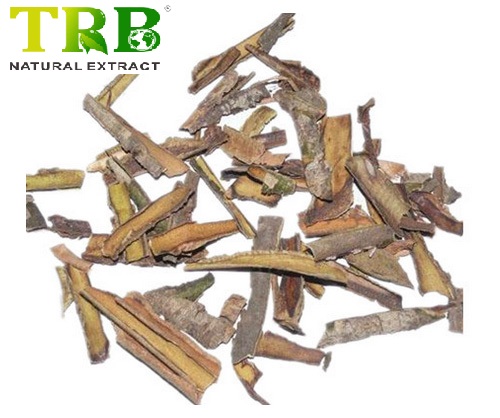 Organic White Willow Bark Extract 15.0%~98.0% Salicin Featured Image