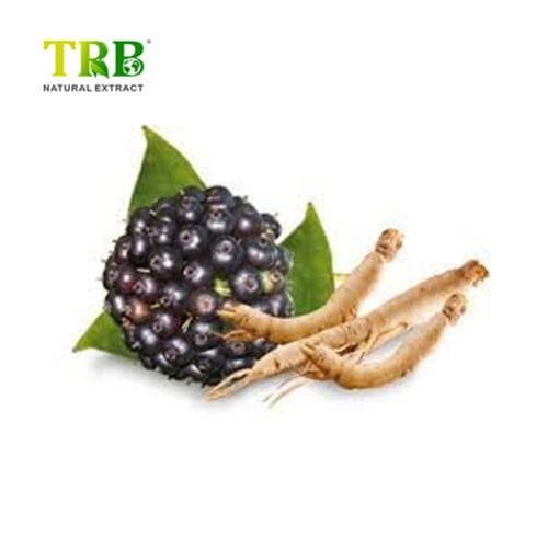 Siberian Ginseng Extract Featured Image