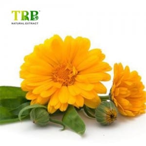 Marigold Flower Extract 127-40-2
