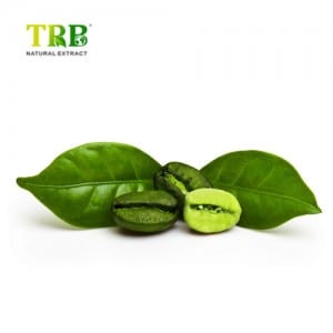 Green Coffee Bean Powder Extract 50%