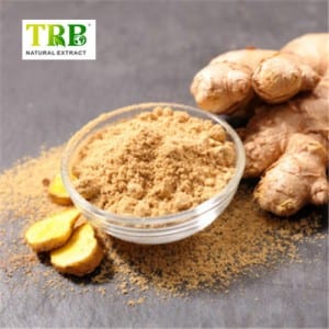 Ginger Extract 10% 15% 20% Gingerols