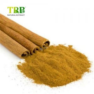 Cinnamon Bark Extract Polyphenol