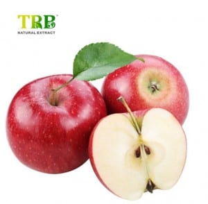 Apple Peel Extract Phloretin 98%