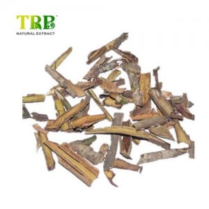 Hvid Willow Bark Extract