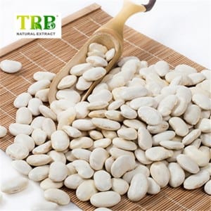 Bílá ledviny Bean Extract