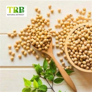 factory customized Best Hawthorn Berry Extract - Soybean Extract – Tong Rui Bio