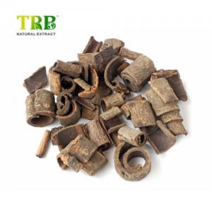 OEM Manufacturer China Magnolol Honokiol 95% Magnolia Bark Extract