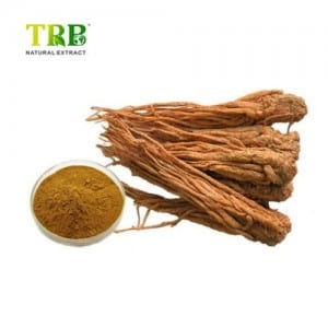 Angelica Root Extract Ligustilide 1%-5%