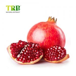 Pomegranate Extract 97% Urolithin B