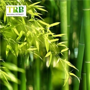 Extract bamboo