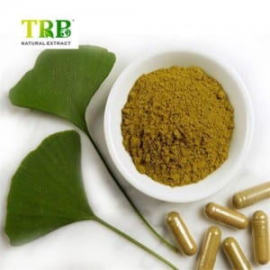 Wholesale Price China Morus Alba -  Biloba Extract Powder24%/6% – Tong Rui Bio