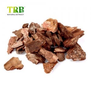 Pine Bark Extract 