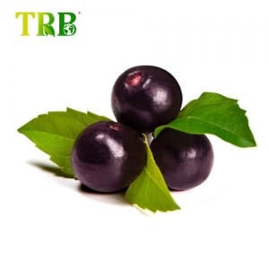 Chiết xuất Acai Berry 20: 1