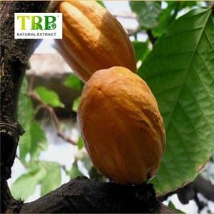 qfyib, nut Extract