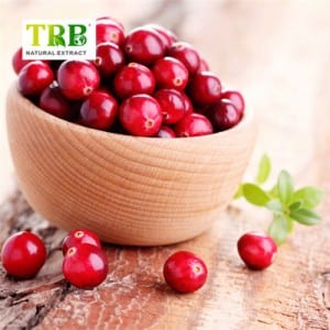 Cranberry Powder/cranberry Fruit Dry Extract 25%