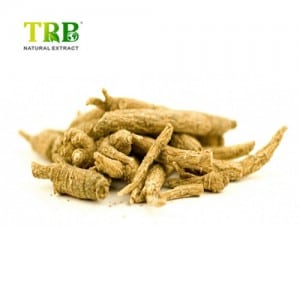 Siberian Ginseng Root Extract