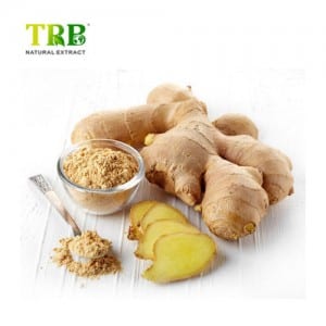 Extract Ginger