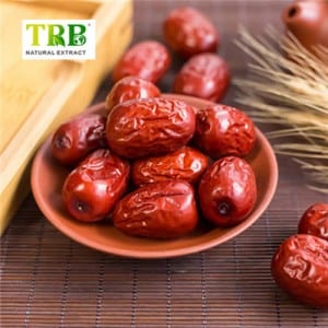 Ziziphi Seed Extract/Spina Date Seed Extract Powder