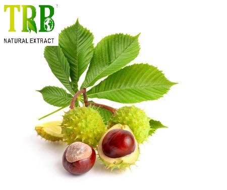 Organic Horse Chestnut Extract 20.0% Aescin Featured Image