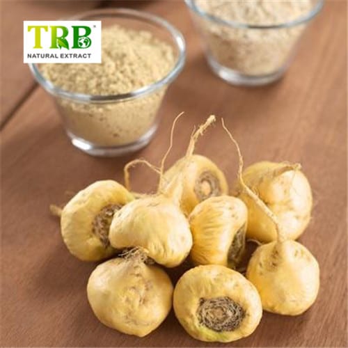 Maca Extract Featured Image