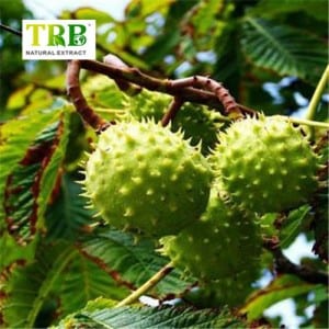 Horse Chestnut Seed Extract 20% Esicin