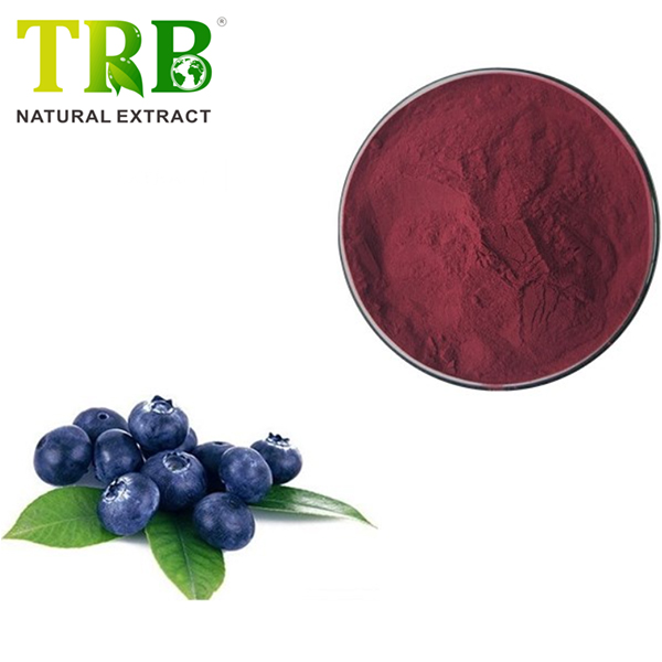 Acai Berry Extract 10% polyphenols Featured Image