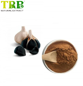 Black Garlic Extract Sac 0.1%~1% Powder