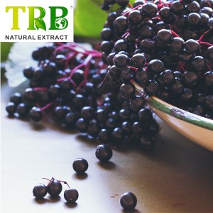 Elderberry Fruit Extract Powder Anthocyanidins 25%