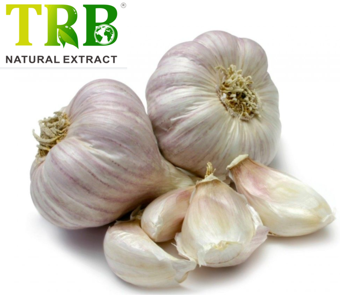 Veterinary Garlic Tablet Featured Image