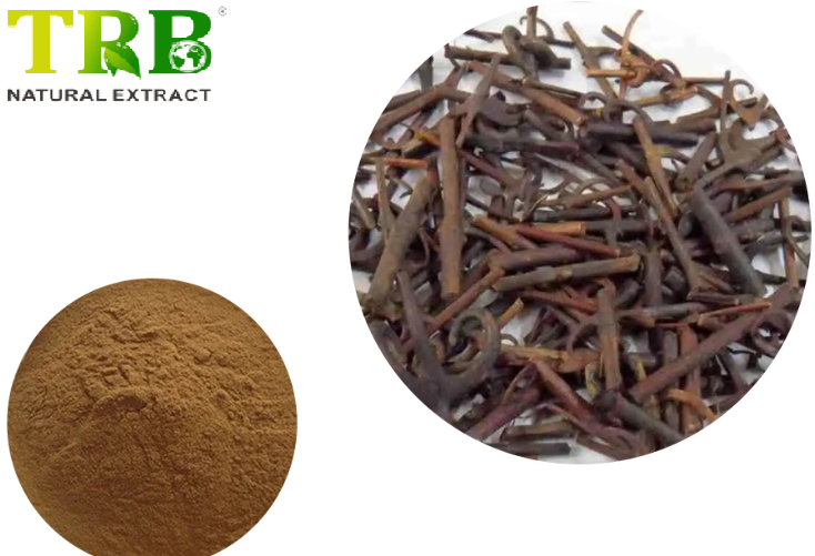 Uncaria Rhynchophylla Extract Featured Image