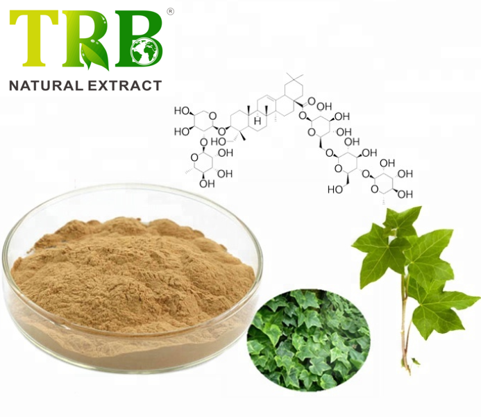 Ivy Extract Featured Image