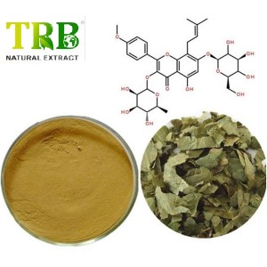 Epimedium Extract Icariin 10-98%