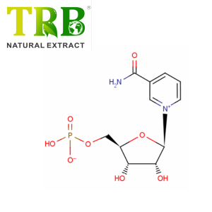 Nicotinamidmononukleotid /NMN