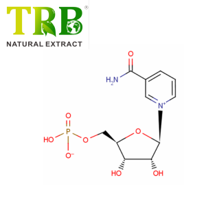 Nikotinamida mononukleotido soltearen hautsa / nmn hautsa