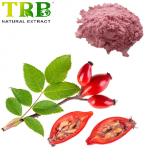 I-Rose Hip Extract