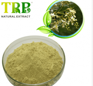 Sophora Japonica Flower Extract Powder 95% Rutin