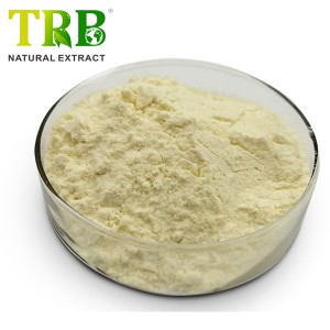 Baicalin5% Chinese Skullcap Root Extract / Plant Extract