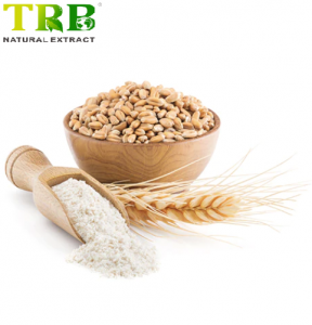Wheat Germ Extract