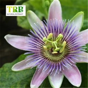 Passion Flower Extract Flavonoids Vitexin