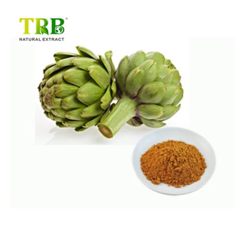 OEM Supply Capsaicin Pepper - Excellent quality Super Artichoke Extract Cynarin Powder – Tong Rui Bio
