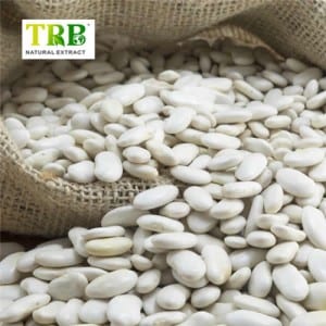 Phaseolin White Kidney Bean Extract