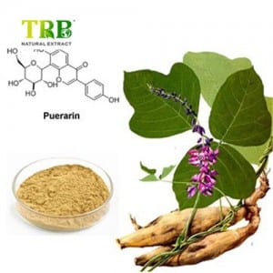 Kudzu hauv paus Extract