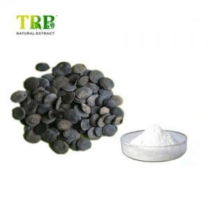 Griffonia Simplicifolia Seed Extract