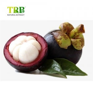 Hot sale Red Yeast Rice Extract Cholesterol - Mangosteen Fruit Extract Powder – Tong Rui Bio