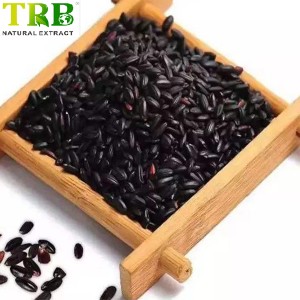 Black Rice Extract Powder