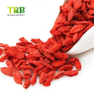 Wolfberry Extract / Goji Berry Extract
