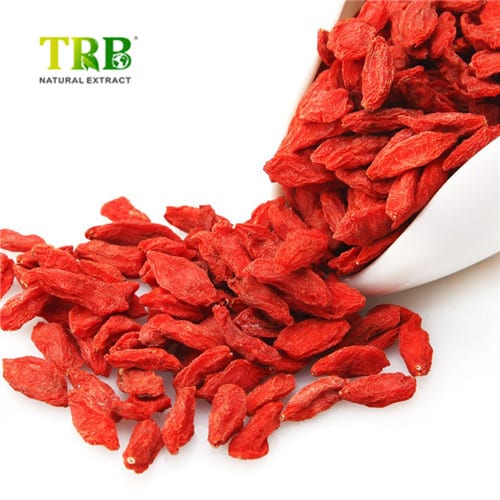 OEM/ODM Manufacturer Milk Thistle Extract 80 Silymarin - Wolfberry Extract / Goji Berry Extract – Tong Rui Bio Featured Image